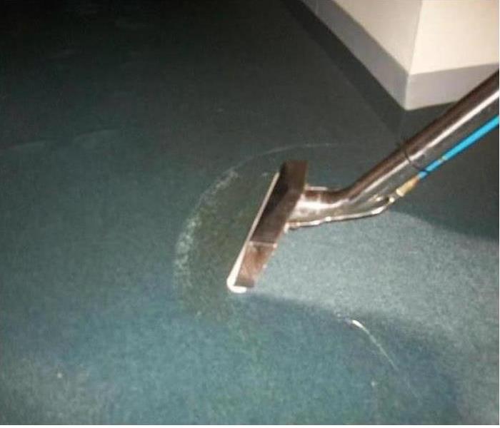 Carpet extraction