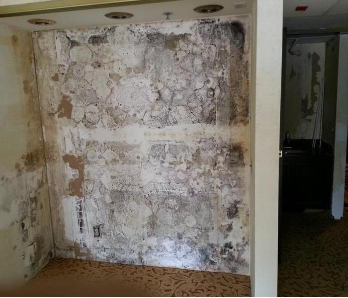 a picture of a hotel closet with mold