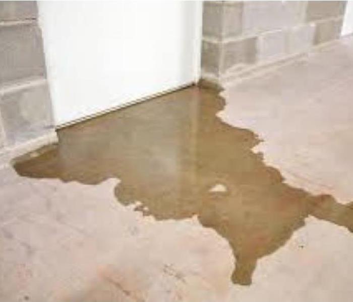 A picture of black water damage